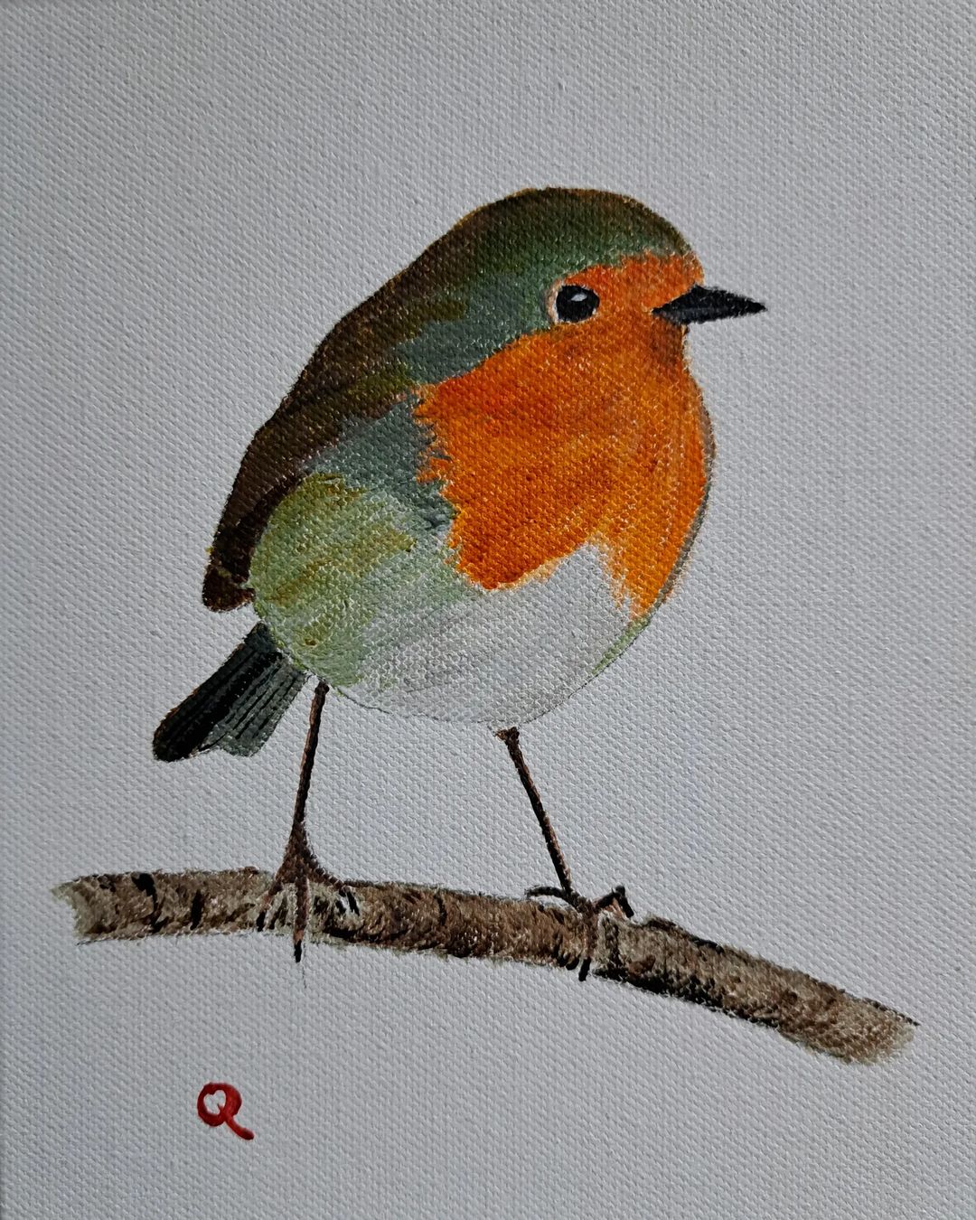 European Robin 2