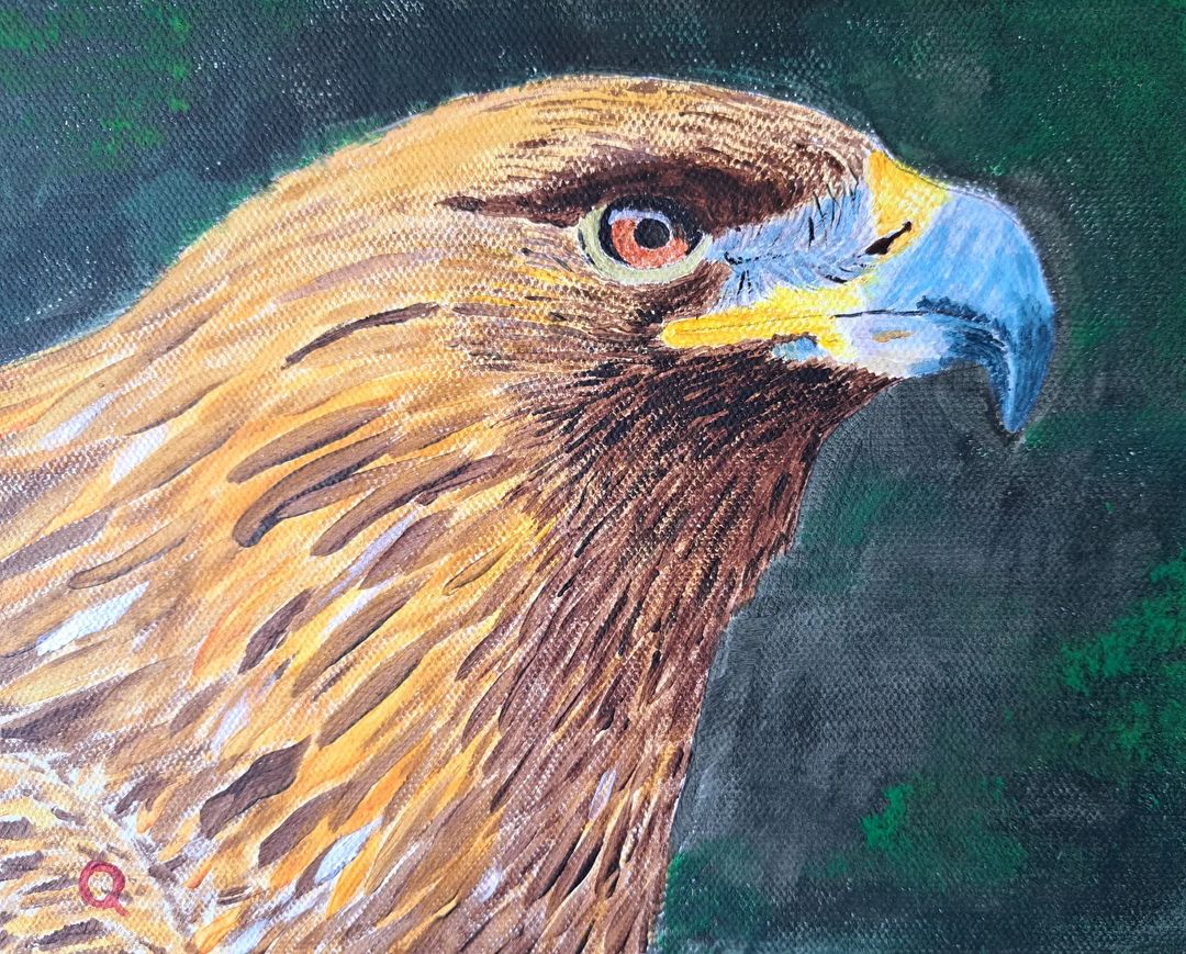 Golden Eagle