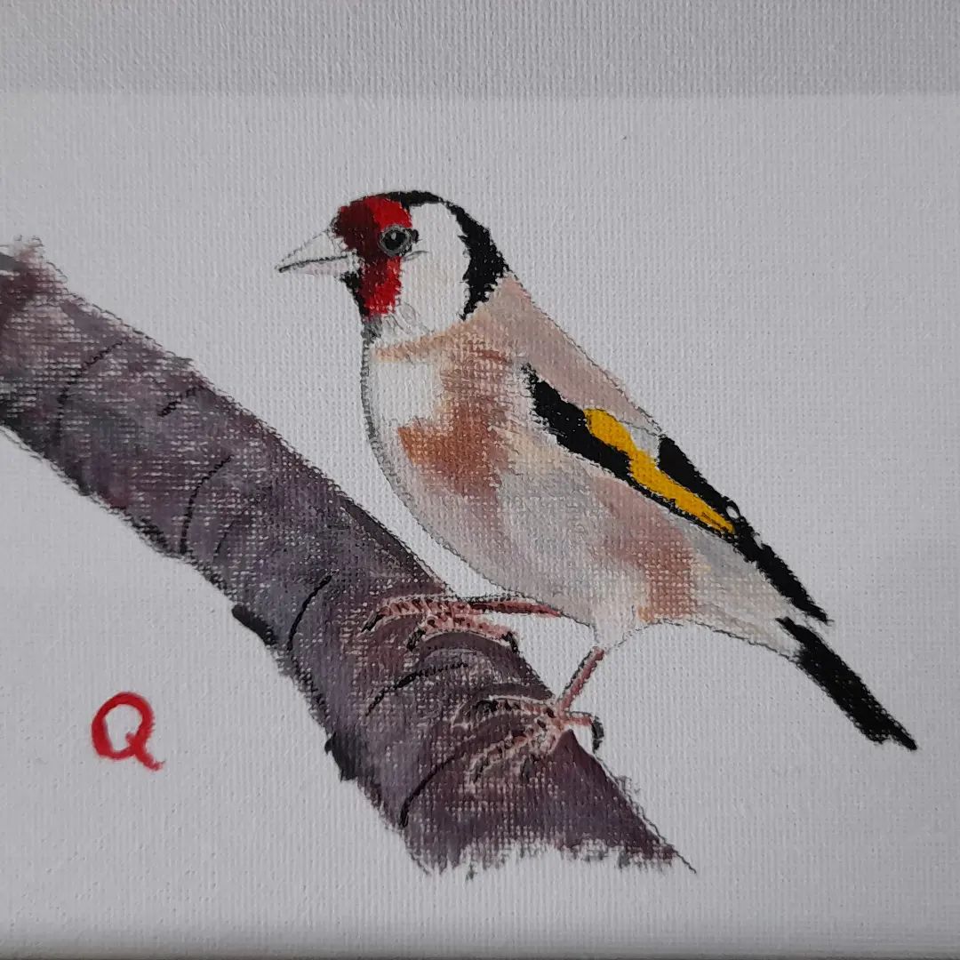 Goldfinch