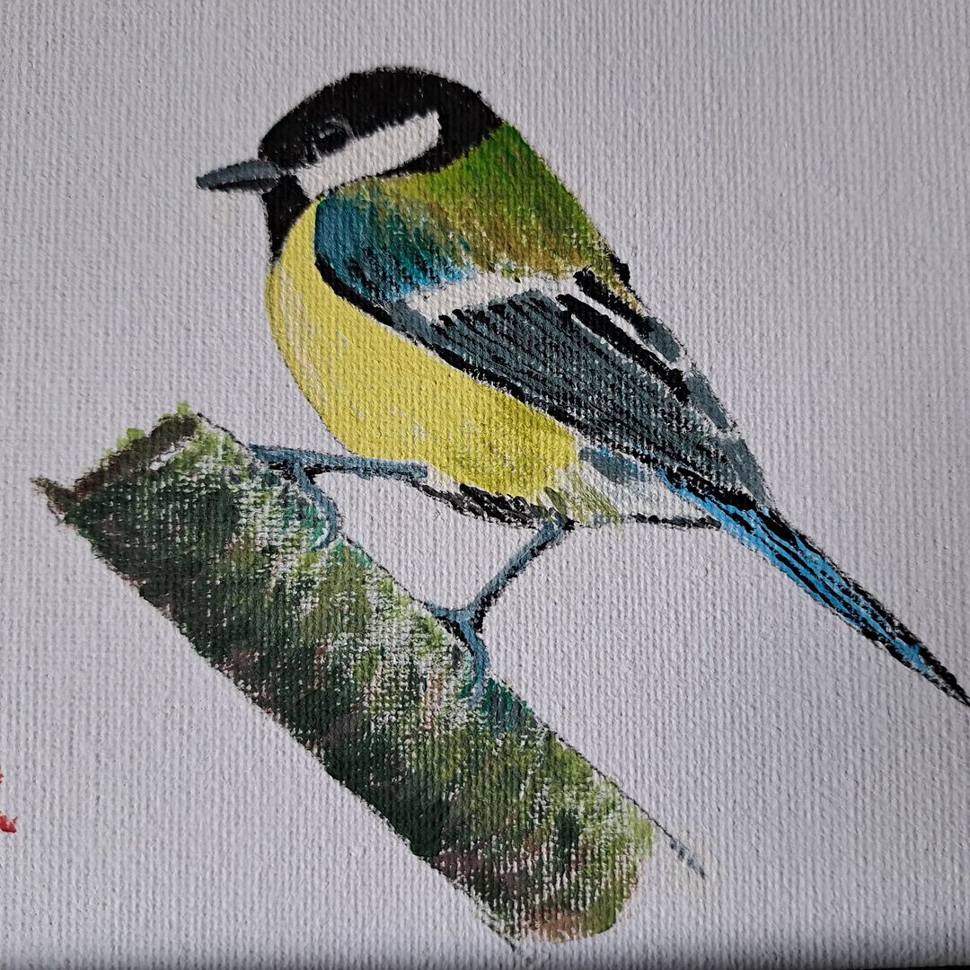 Great Tit