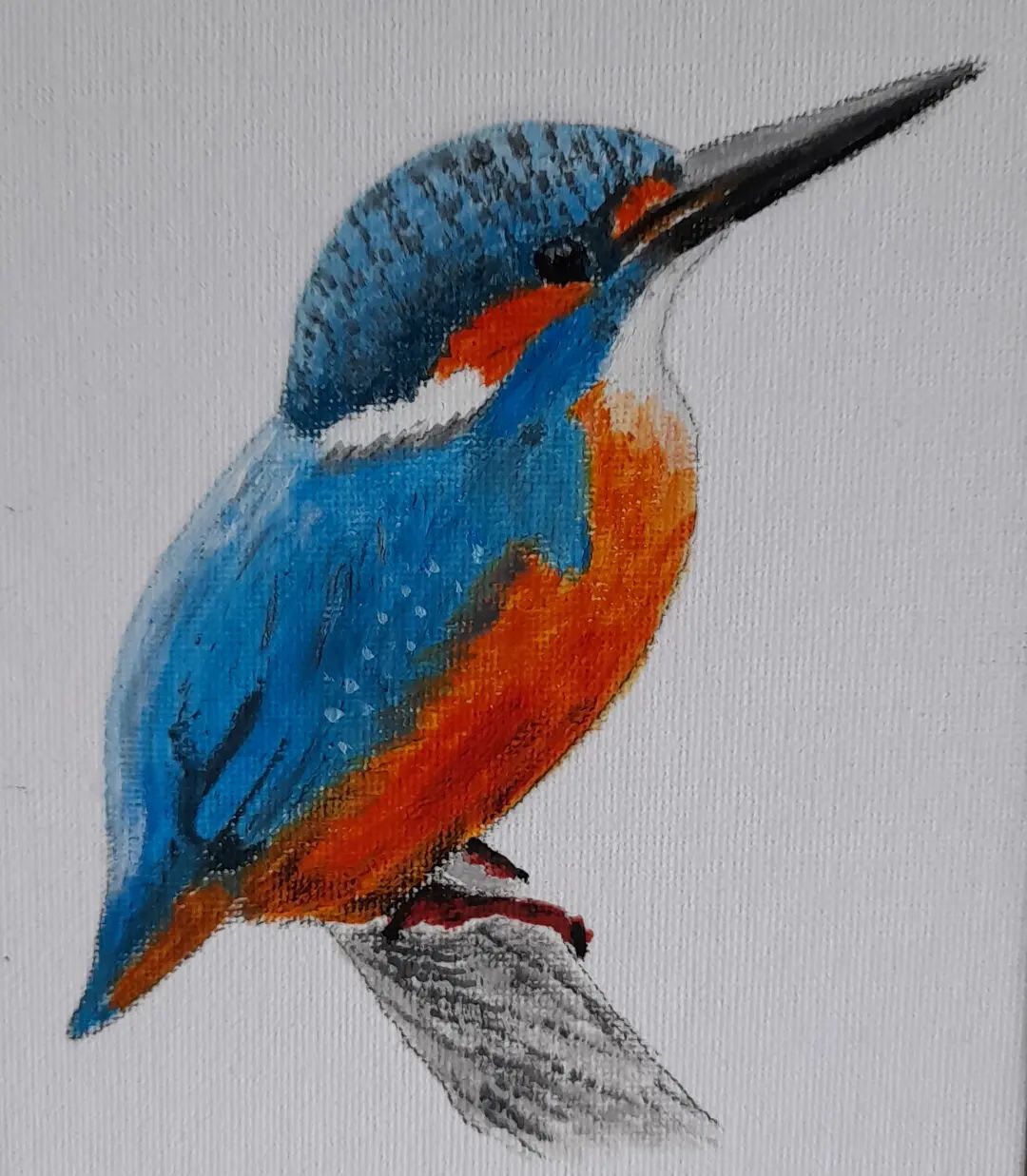 Kingfisher